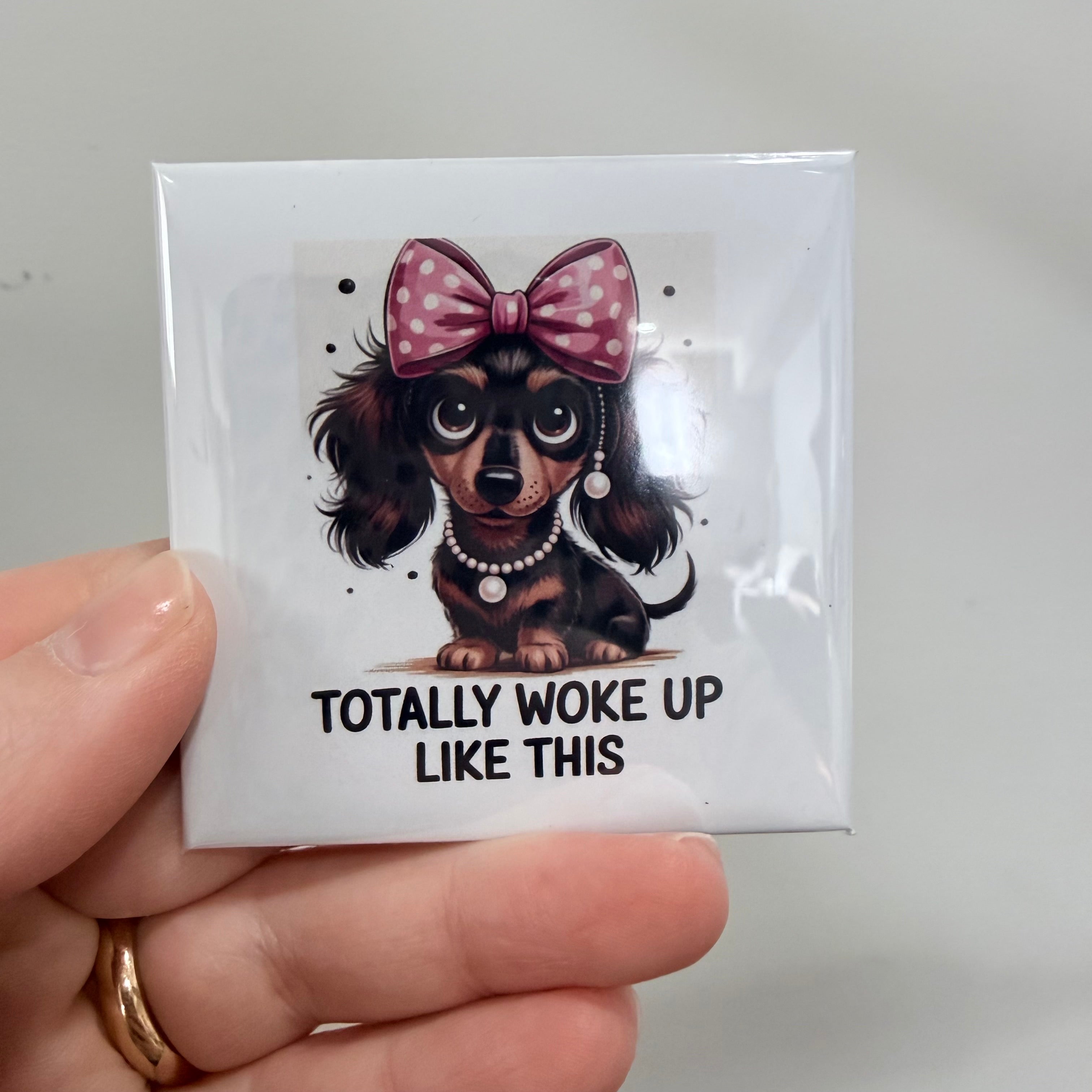 Sarcastic Magnets